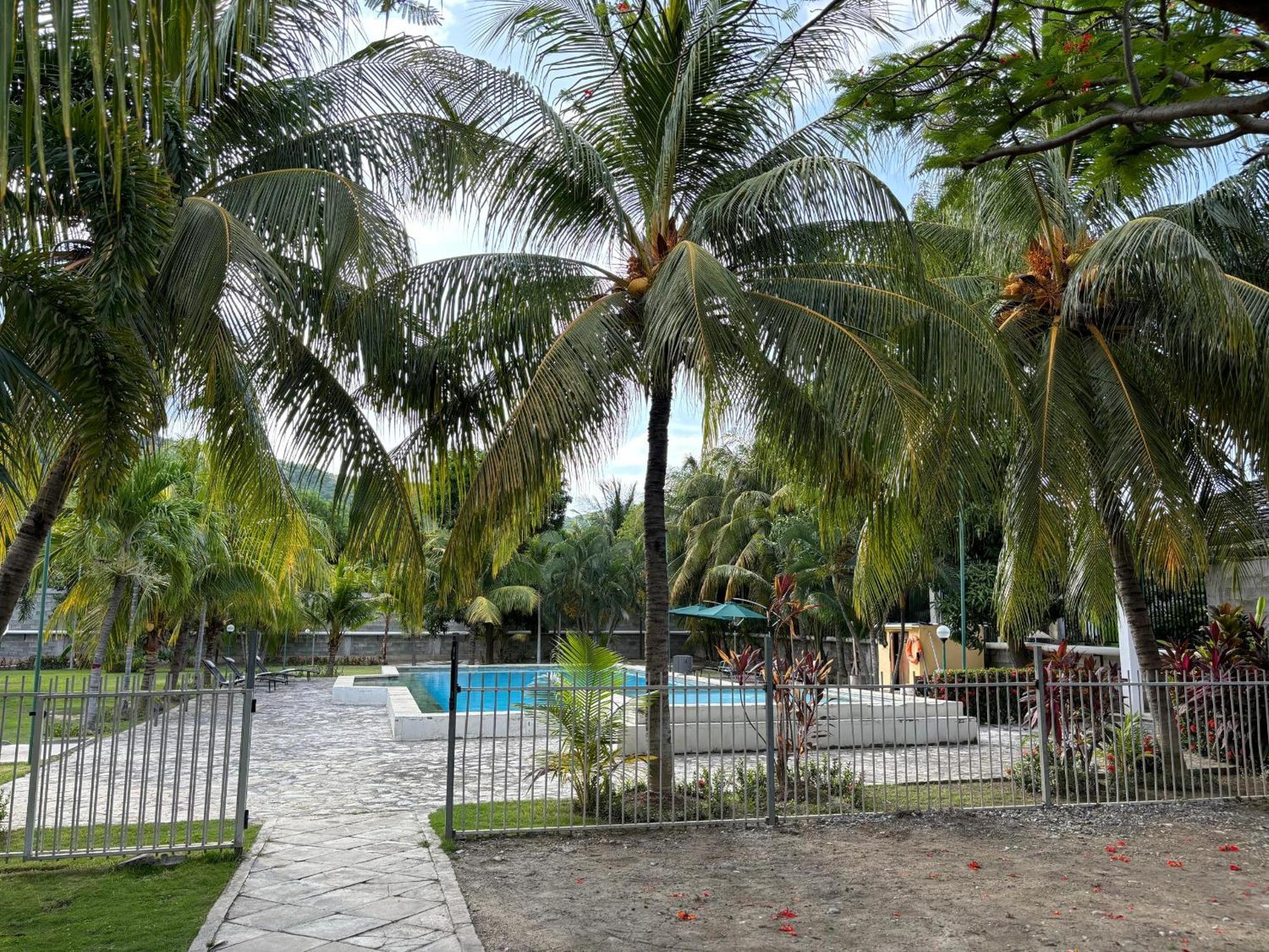 Palm Malinamoc Hotel Dili Buitenkant foto