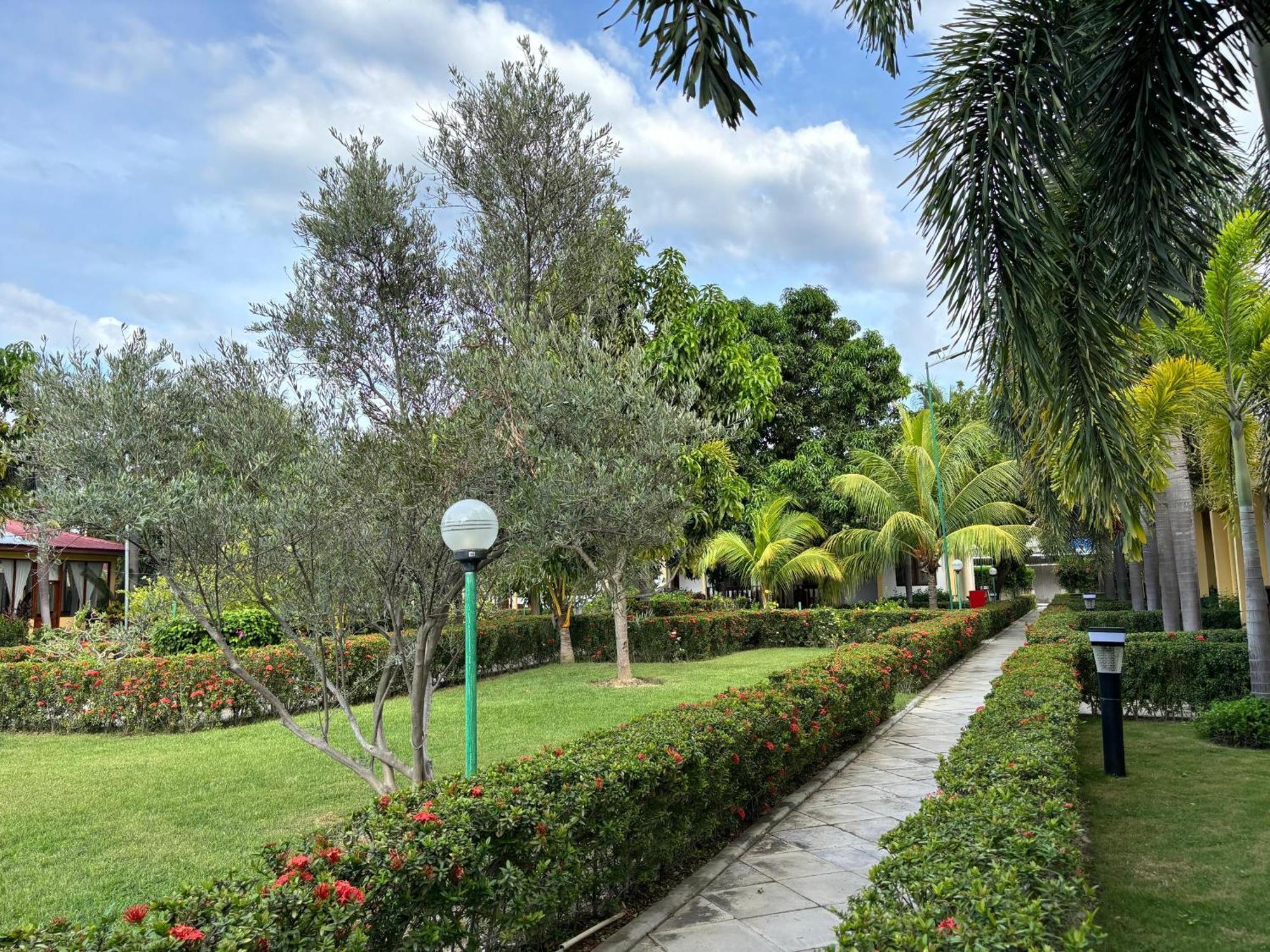 Palm Malinamoc Hotel Dili Buitenkant foto